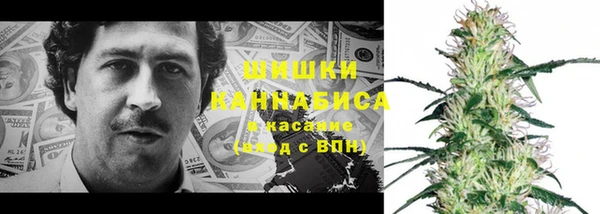 ПСИЛОЦИБИНОВЫЕ ГРИБЫ Баксан