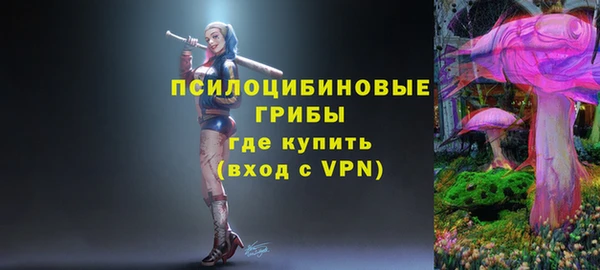 хмурый Балабаново