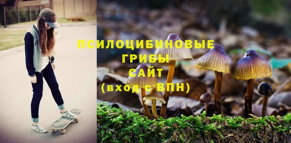 хмурый Балабаново