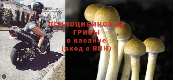 хмурый Балабаново