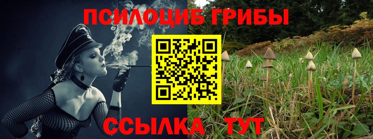 Псилоцибиновые грибы мухоморы Коммунар