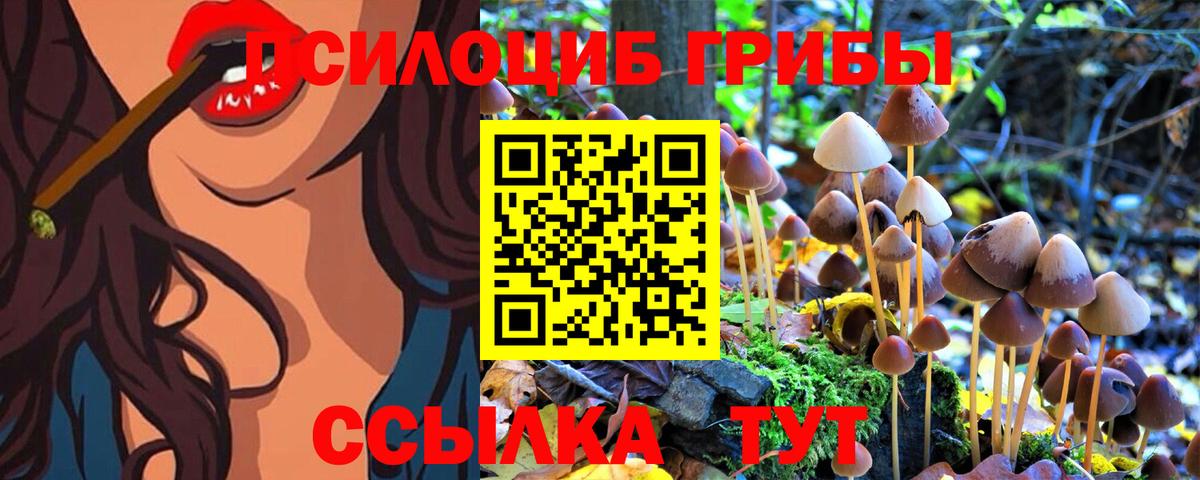 Псилоцибиновые грибы Cubensis  как найти закладки  Коммунар  Вход с VPN 